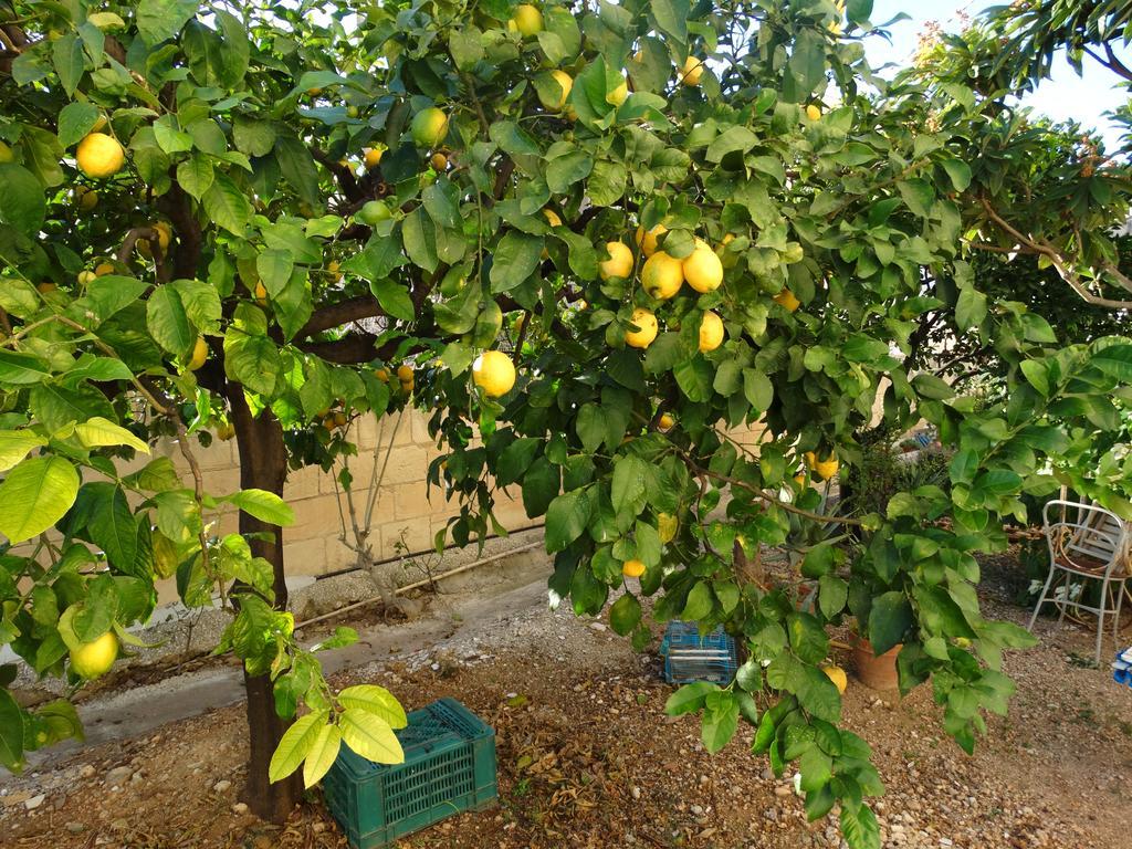 Apartament Il Giardino Del Corso Avola Zewnętrze zdjęcie